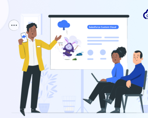 Salesforce Custom Cloud: A Comprehensive Analysis and Guide.